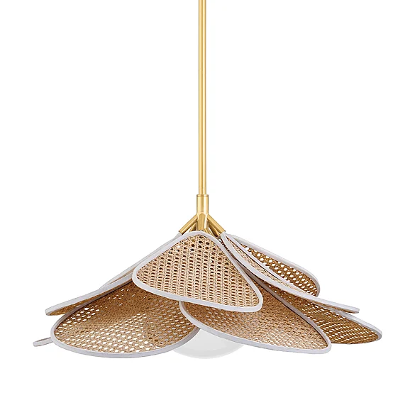 Hudson Valley Lighting Florina Pendant 3128-AGB