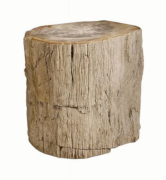 Bernhardt Interiors Petrified Wood Side Table 319-712 PROMO