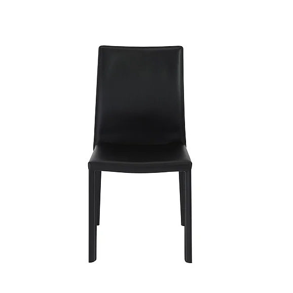 Euro Style Hasina Side Chair in Black (Set of 2) 38627BLK CLOSEOUT