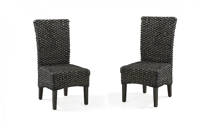 Modus Furniture Meadow Chair Water Hyacinth in Graphite 3FT366 (Set of 2)