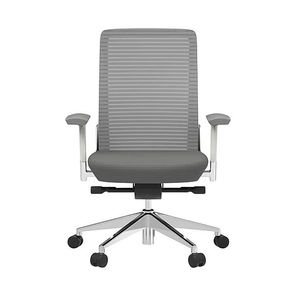 Euro Style Eon Office Chair in Gray with White Frame and Polished Aluminum Base 415W