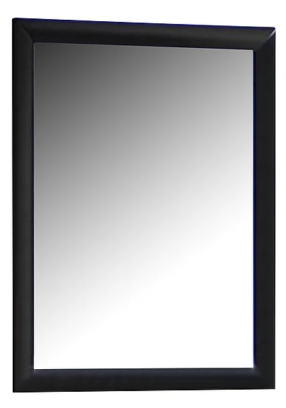 Coaster Briana Mirror in Black