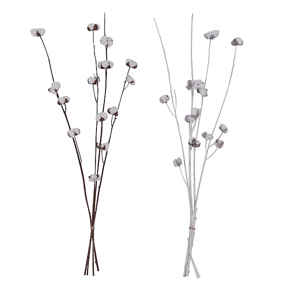 UMA White Dried Plant Pigeon pea Natural Foliage, 2 Assorted 7"W, 37"H | 49592 CLOSEOUT