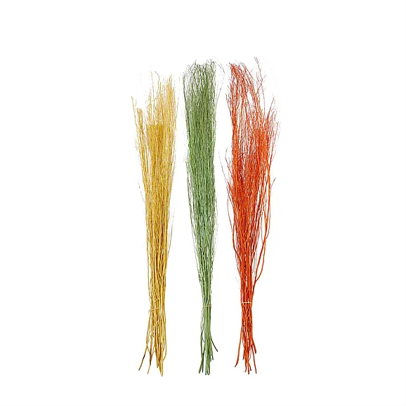 UMA Multi Colored Dried Plant Pigeon pea Natural Foliage, 3 Assorted 6"W, 57"H | 49600 CLOSEOUT