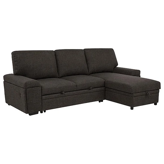 Coaster Demko Sleeper Sectional Sofa with Speaker and Storage Chaise in Brown 500356