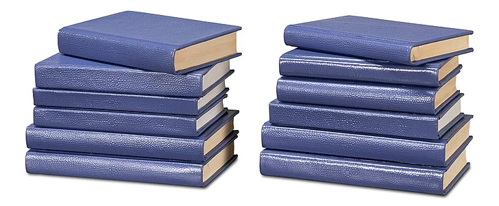 Sarreid Shagreen Books in Marlin 54009-2 (Set of 12)