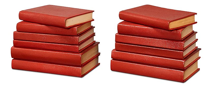 Sarreid Shagreen Books in Rooibos Tea 54009-8 (Set of 12)