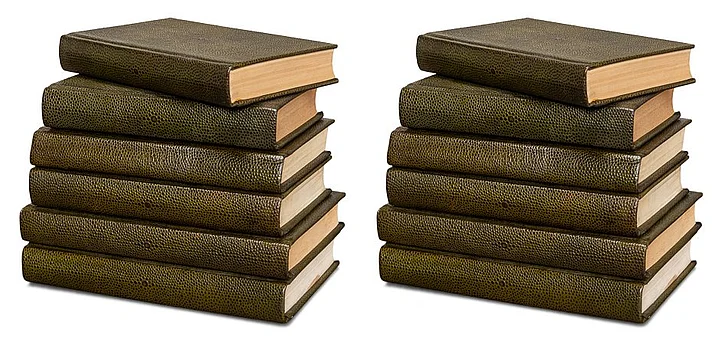 Sarreid Shagreen Books in Leaf 54077-3 (Set of 12)