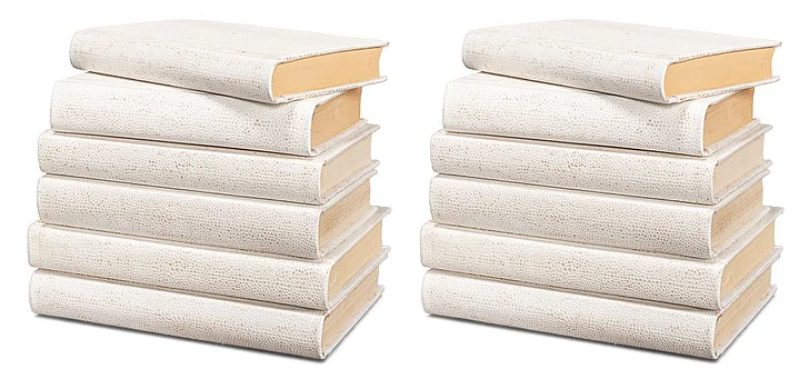 Sarreid Shagreen Books in Osprey White 54077-4 (Set of 12)
