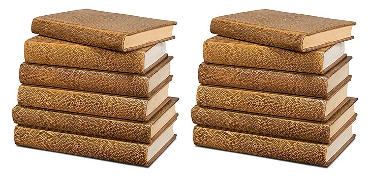 Sarreid Shagreen Books in Tawny Brown 54077-5 (Set of 12)