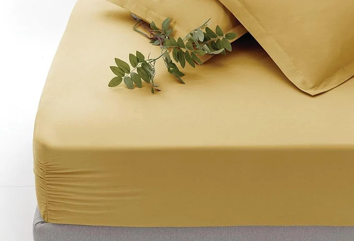 Penny Fitted Sheet - Saffron - King 1617655