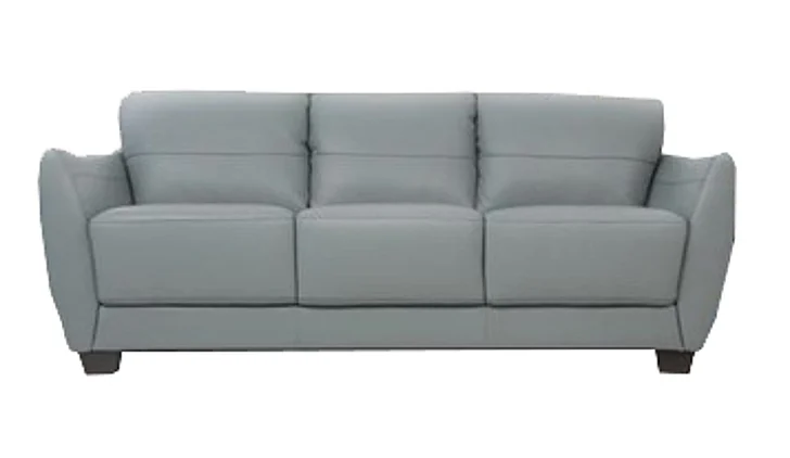 Acme Furniture Valeria Sofa in Watery 54950