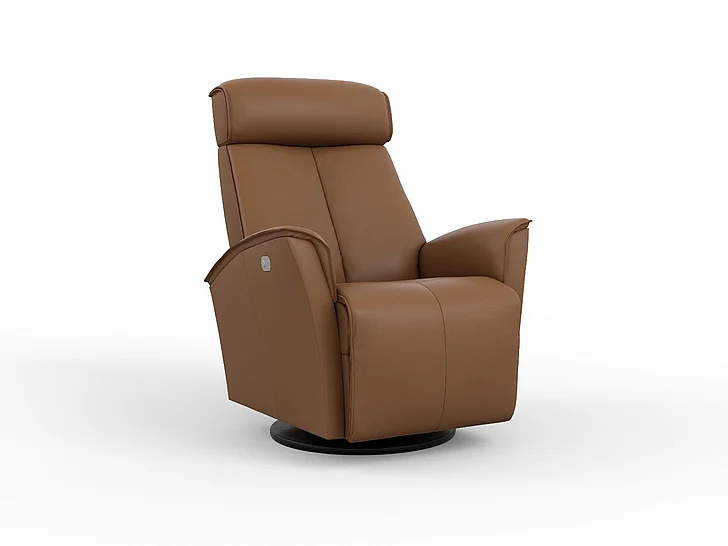 Fjords Relax Venice Large Swing Relaxer Motorized in SL Cigar 577116P-254 CUSTOM ITEM