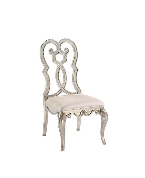ACME Esteban Side Chair (Set of 2) in Antique Champagne 62202