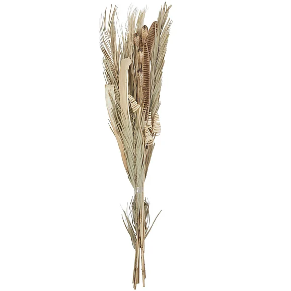 UMA Beige Dried Plant Palm Leaf Handmade Tall Assorted Bouquet Home Decor Natural Foliage, 11" x 2" x 62" | 64235 CLOSEOUT