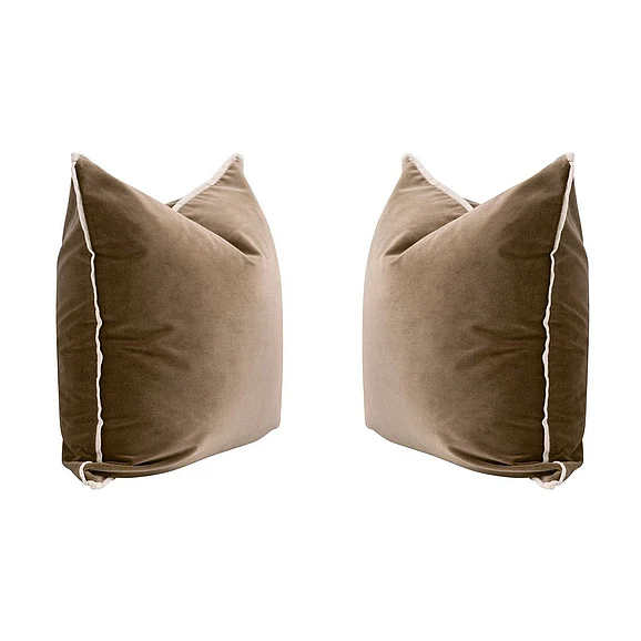 Essentials For Living The Not So Basic 22" Essential Pillow, Set of 2 7202-22.CAR/JUT