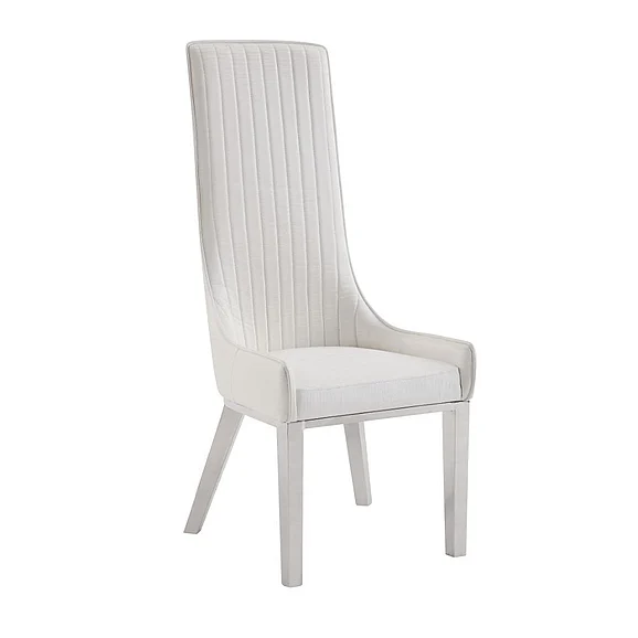 ACME Gianna Side Chair (Set of 2) in Ivory & Stainless Steel 72473