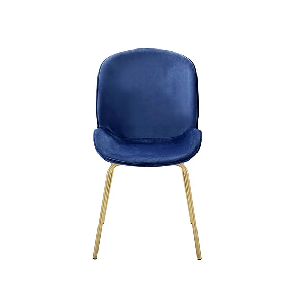 Acme Furniture Chuchip Side Chair (Set of 2) in Blue/Gold 72947