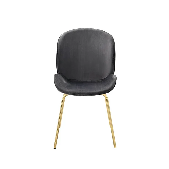 Acme Furniture Chuchip Side Chair (Set of 2) in Gray/Gold 72948