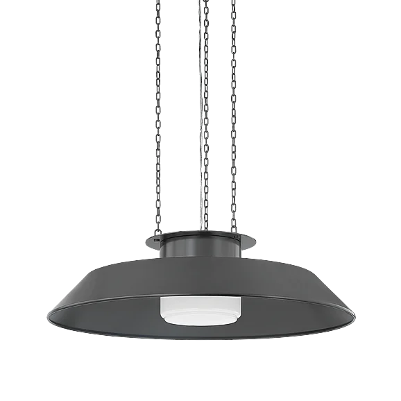 Hudson Valley Lighting Woodrow Pendant 8832-DB