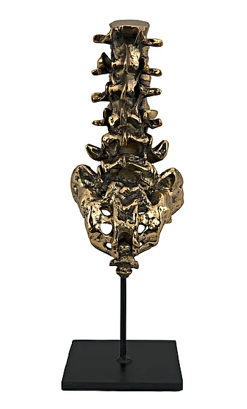 Noir Furniture Vertebrae, Brass and Steel AB-157BR