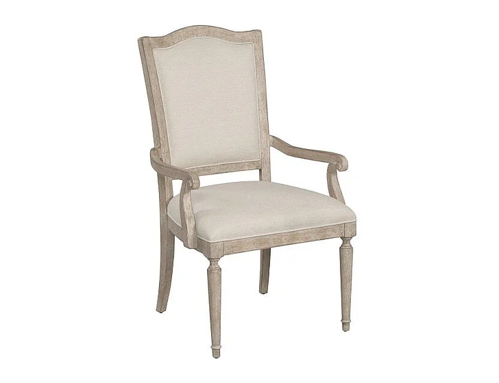 American Drew Cambric Daniella Upholstered Arm Chair in Breve (Set of 2) 309-623B