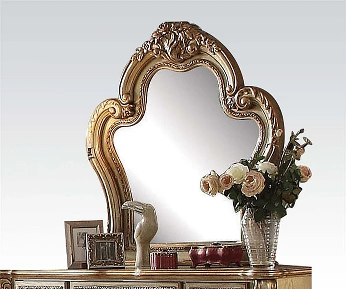 Acme Dresden Mirror in Gold Patina & Bone 23164