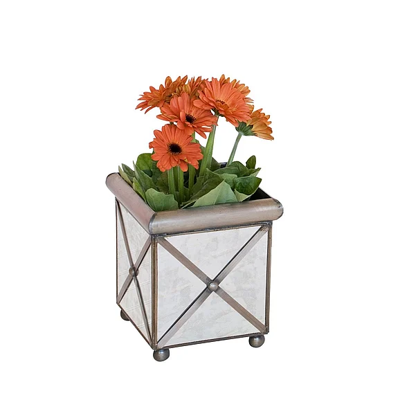 Worlds Away Small Xhatch Ant Mir Planter AMT10