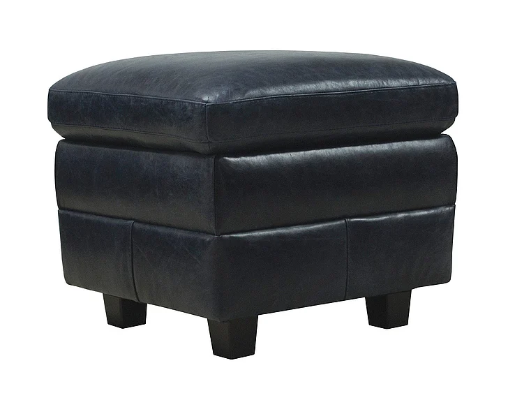 Luke Home Anya Ottoman in 3513 Midnight Blue Anya-O (Quickship)