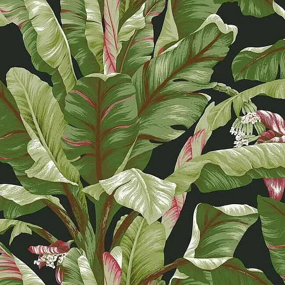 York Tropics Resource Library E23 Banana Leaf Wallpaper in Black/Green AT7071 (Double Roll) FedEx/UPS