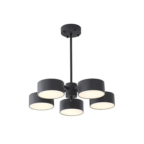 Bethel Black Frame Light Fixture BE11C24B