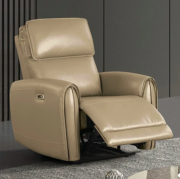 Furniture of America Schlieren Power Recliner in Beige FM6012BG-CH-PM