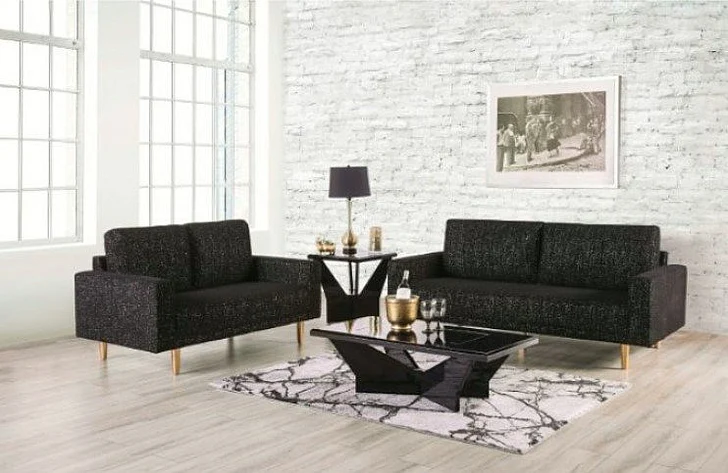 Furniture of America Elverum 2pc Living Room Set in Black