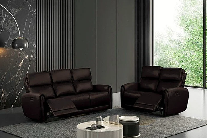 Furniture of America Schlieren 2pc Reclining Living Room Set in Black