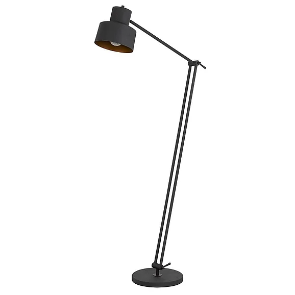 Cal Lighting Davidson Floor Lamp BO-2966FL