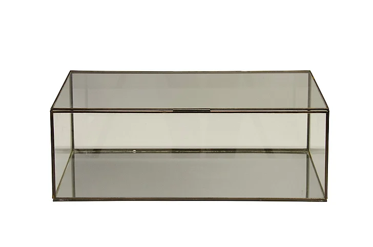 Worlds Away Box Rectangular Clr Glass Box BOX CLR