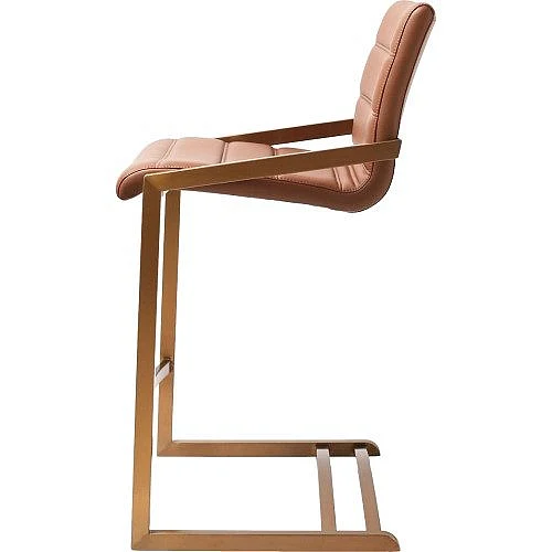 Whiteline Modern Mattia Counter Stool in BS2008CP-BRN