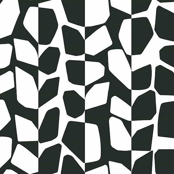 York Black and White Resource Library E40 Primitive Vines Wallpaper in Black/White BW3893 (Double Roll) FedEx/UPS