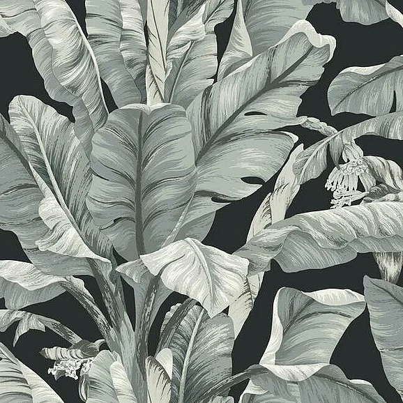 York Black and White Resource Library E40 Banana Leaf Wallpaper in Black/White BW3971 (Double Roll) FedEx/UPS
