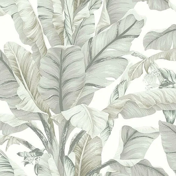 York Black and White Resource Library E40 Banana Leaf Wallpaper in White/Cream BW3972 (Double Roll) FedEx/UPS
