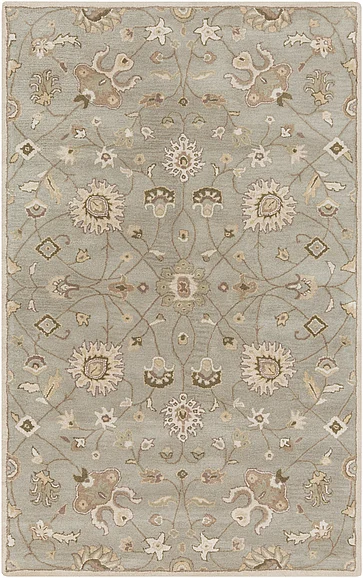 Surya Caesar 4' X 6' Area Rug CAE1121-46 FREE SHIPPING