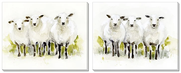 Streamline Art Watercolor Sheep Trio Set of 2 E845748