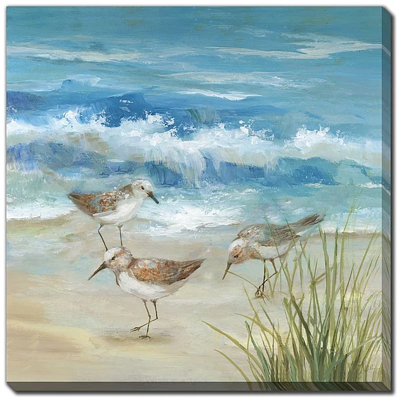 Streamline Art Sandpiper Gathering II E893985