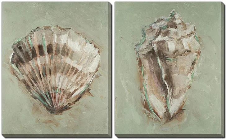 Streamline Art Aqua Shell Study Set of 2 E894104