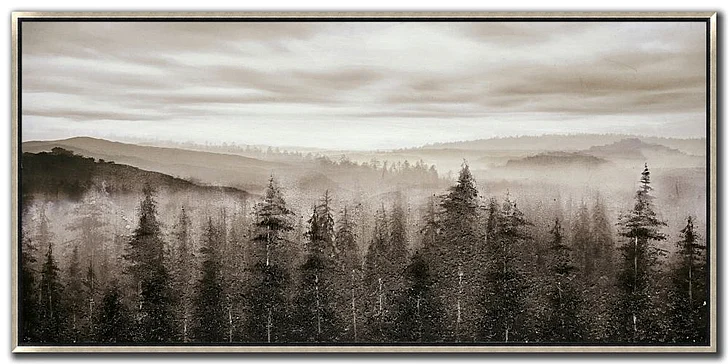 Streamline Art Foggy Mountain Pines E770439