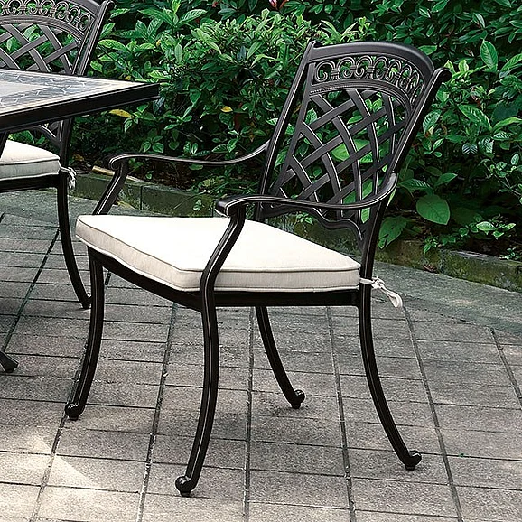 Furniture of America Charissa Patio Arm Chair in Antique Black Frame (Set of 2) CM-OT2125-AC-2PK