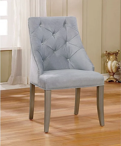 Furniture of America Diocles Side Chair in Silver (Set of 2) CM3020SC-2PK