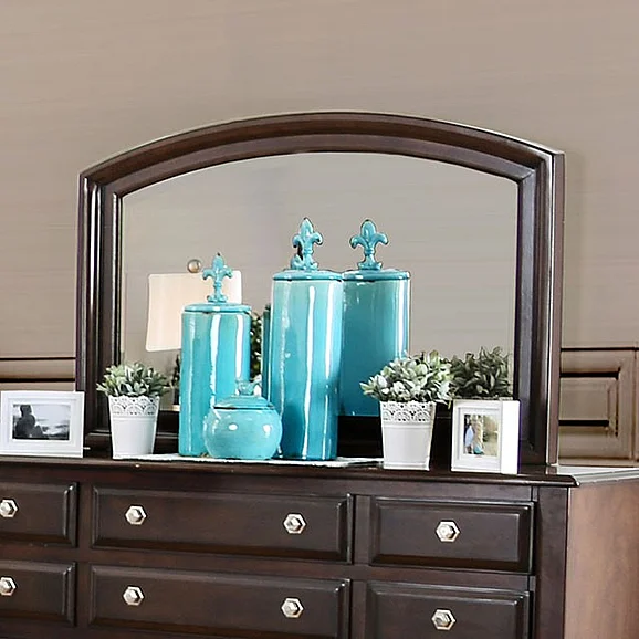 Furniture of America Litchville Mirror in Brown Cherry CM7383M