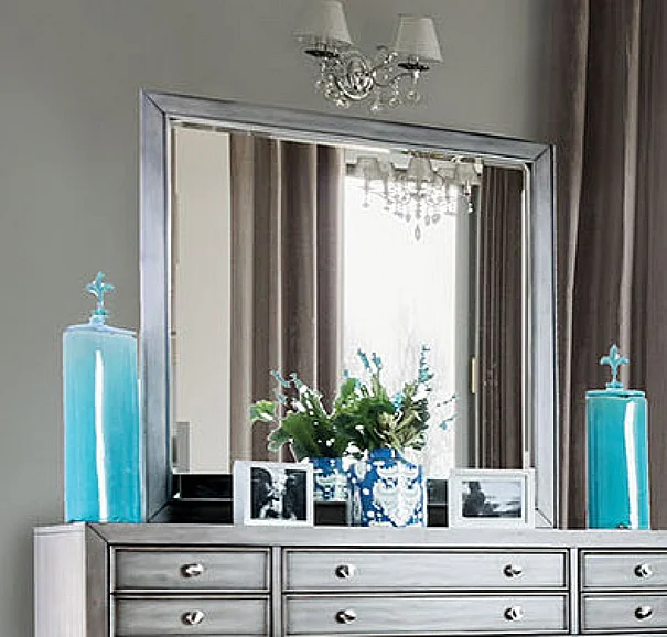 Furniture of America Daphne Mirror in Weathered Gray CM7556M