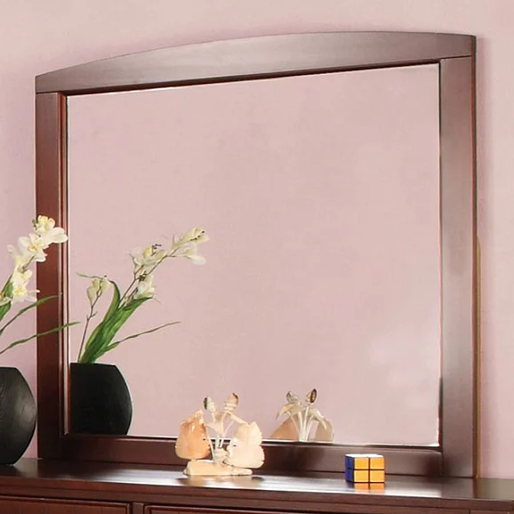 Furniture of America Omnus Mirror in Cherry CM7905CH-M